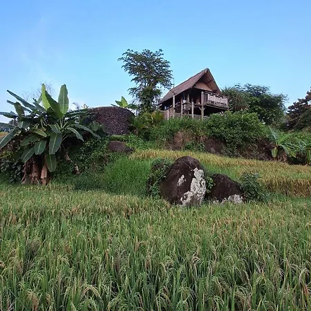 Bali Beach Eco Villas Bali Batu Beach Hut