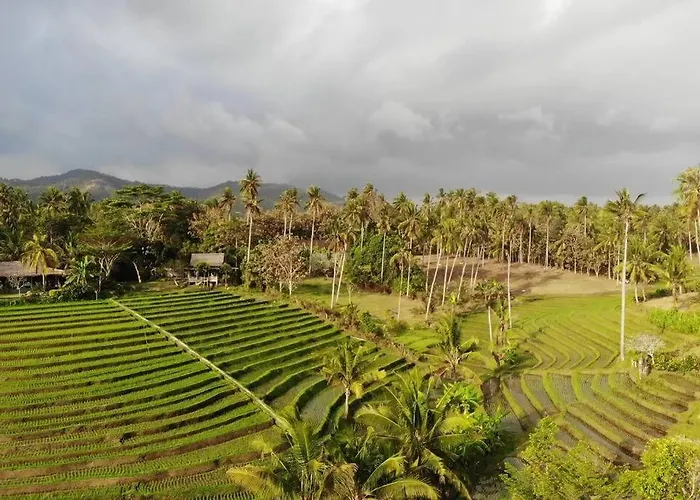 Bali Eco Bali Batu Hut *
