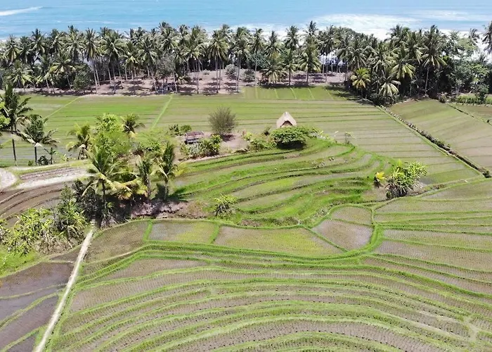 Villa Bali Eco Bali Batu Hut *