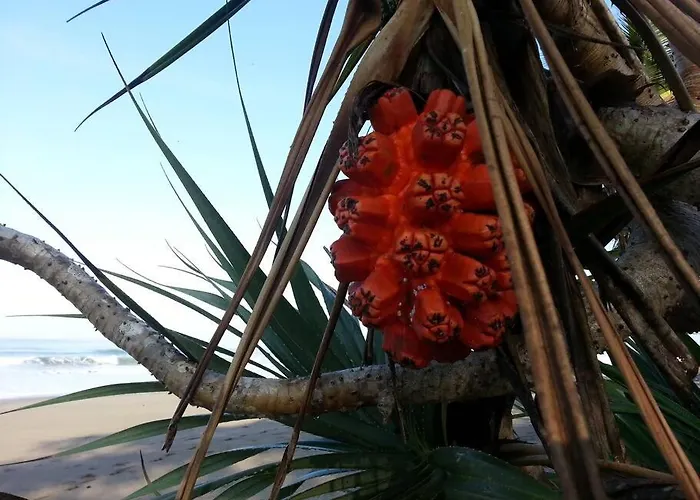 Bali Eco Bali Batu Hut Villa