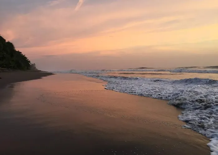 Bali Eco Bali Batu Hut