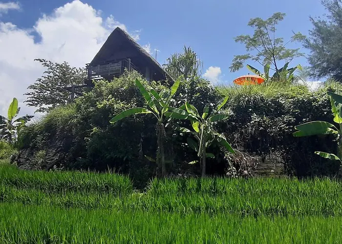 Bali Eco Bali Batu Hut * Balian