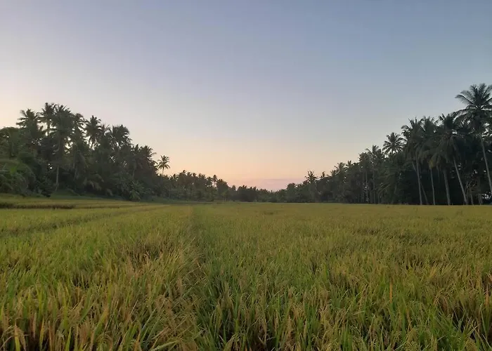 Bali Eco Bali Batu Hut Balian
