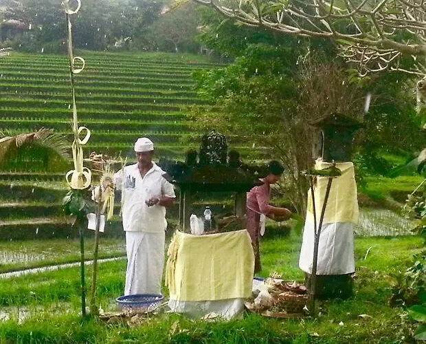 Bali Eco Bali Batu Hut Villa Balian