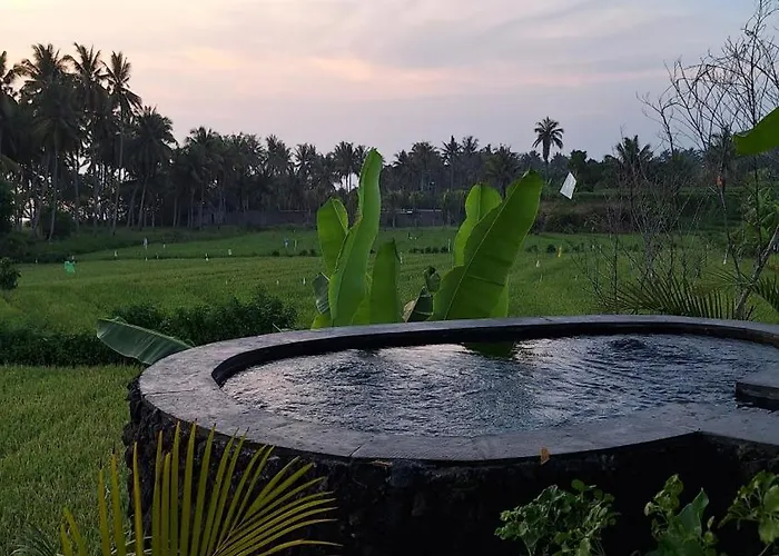 Bali Eco Bali Batu Hut *